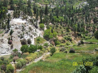 paisagee de ambre